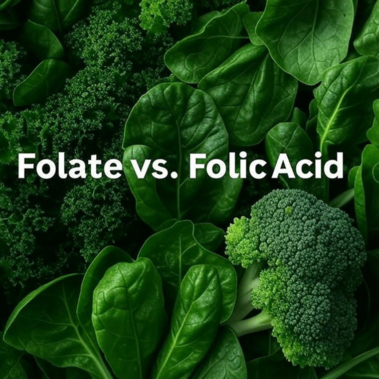 5-Methyltetrahydrofolate (5-MTHF) vs. Folic Acid: Understanding the Key Differences in Vitamin B9 Supplementation