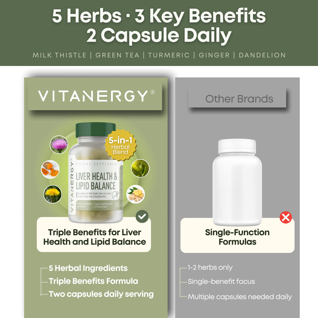 Vitanergy Liver Health & Lipid Balance Capsules – Milk Thistle, Turmeric & Green Tea