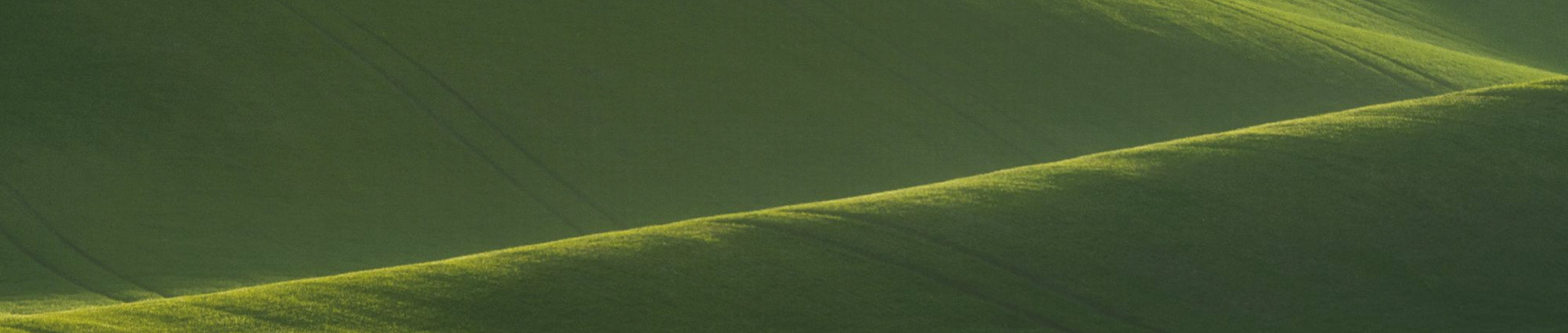 collection-banner-image